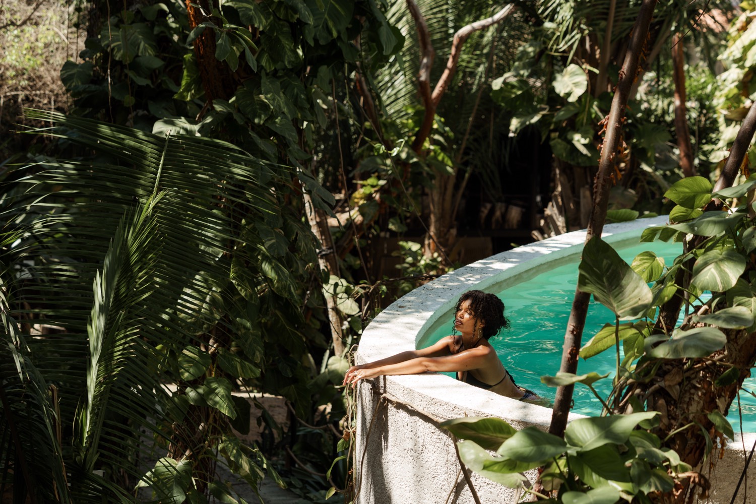 Plunge pool surrounded by jungle planting in Sayulita